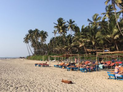 Banyan Tree, Goa - yoga holiday - Yoga on a Shoestring